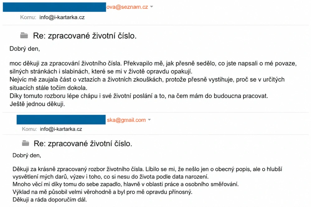 ŽIVOTNÍ ČÍSLO - Váš tajný kód osudu - numerologický rozbor na 2 strany A4